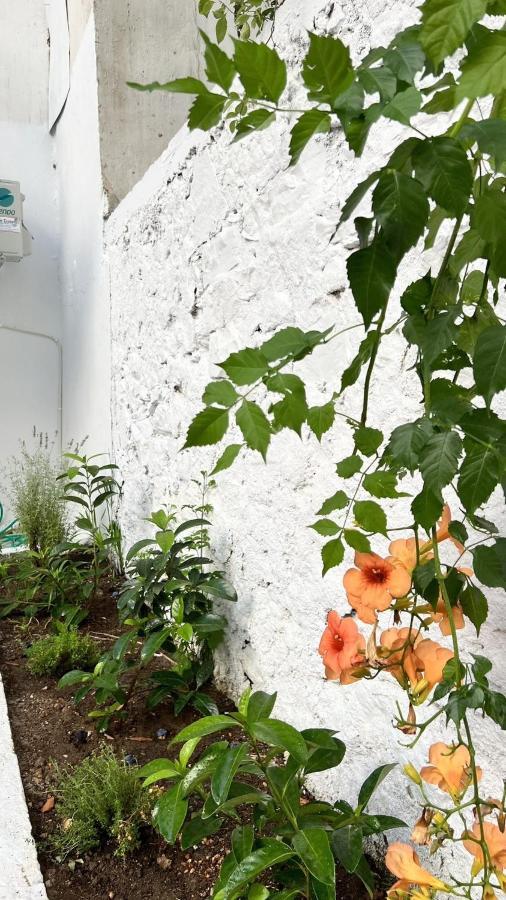 Μy Ηομε Appartement Chalkís Buitenkant foto